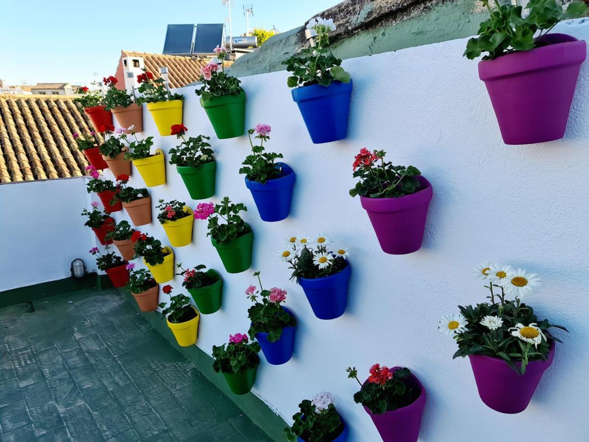 Hostal Funky By Arc House Guest house Cordoba